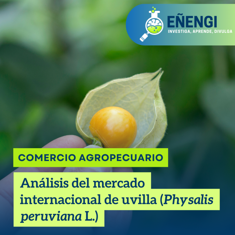 Análisis del mercado internacional de uvilla (Physalis peruviana L.)