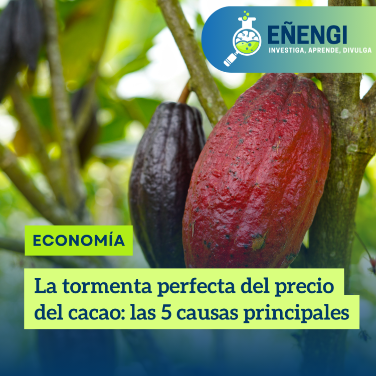 La tormenta perfecta del precio del cacao: las 5 causas principales